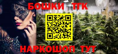 мдпв Гатчина