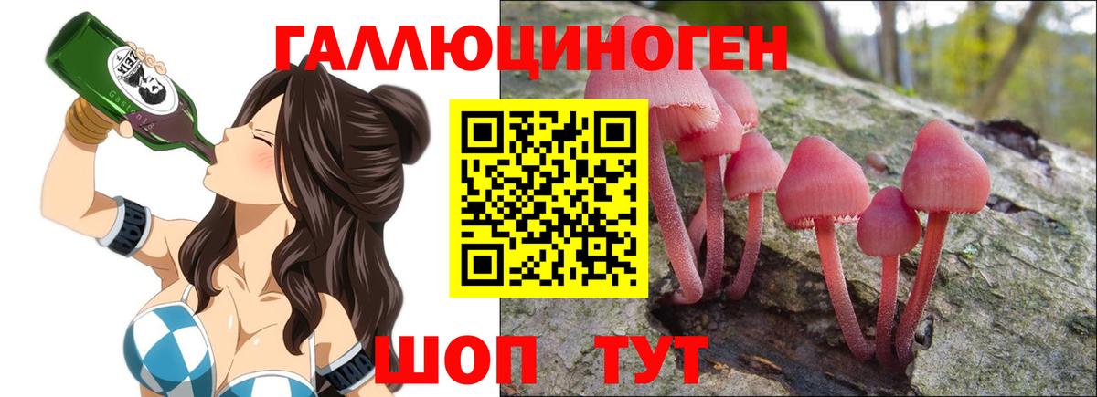 Псилоцибиновые грибы GOLDEN TEACHER  Вход с VPN  Ногинск 